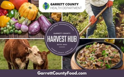 Have You Heard About The Harvest Hub?