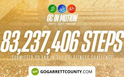 83 MILLION+ STEPS/ACTIVITY RECORDS! – Step/Activity Challenge Weekly Leaderboard – Week 74