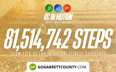 81 MILLION+ STEPS/ACTIVITY RECORDS! – Step/Activity Challenge Weekly Leaderboard – Week 72