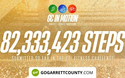 82 MILLION+ STEPS/ACTIVITY RECORDS! – Step/Activity Challenge Weekly Leaderboard – Week 73