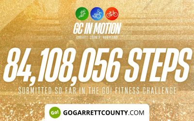 84 MILLION+ STEPS/ACTIVITY RECORDS! – Step/Activity Challenge Weekly Leaderboard – Week 75