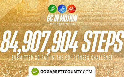 84 MILLION+ STEPS/ACTIVITY RECORDS! – Step/Activity Challenge Weekly Leaderboard – Week 76