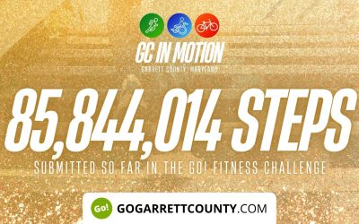 85 MILLION+ STEPS/ACTIVITY RECORDS! – Step/Activity Challenge Weekly Leaderboard – Week 77
