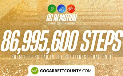 86 MILLION+ STEPS/ACTIVITY RECORDS! – Step/Activity Challenge Weekly Leaderboard – Week 78