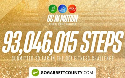 93 MILLION+ STEPS/ACTIVITY RECORDS! – Step/Activity Challenge Weekly Leaderboard – Week 83