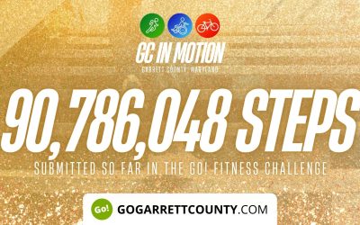 90 MILLION+ STEPS/ACTIVITY RECORDS! – Step/Activity Challenge Weekly Leaderboard – Week 81