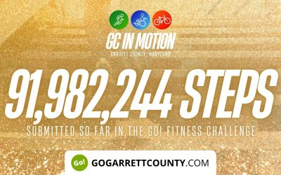 91 MILLION+ STEPS/ACTIVITY RECORDS! – Step/Activity Challenge Weekly Leaderboard – Week 82