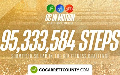 95 MILLION+ STEPS/ACTIVITY RECORDS! – Step/Activity Challenge Weekly Leaderboard – Week 85