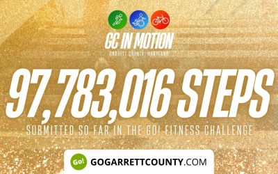 97 MILLION+ STEPS/ACTIVITY RECORDS! – Step/Activity Challenge Weekly Leaderboard – Week 87
