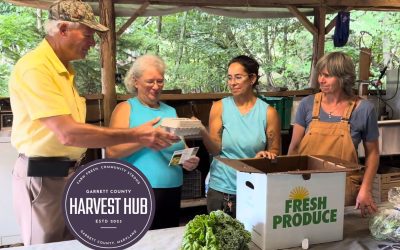 Harvest Hub Box Number #1 Was A Huge Success!