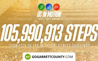 105 MILLION+ STEPS/ACTIVITY RECORDS! – Step/Activity Challenge Weekly Leaderboard – Week 93