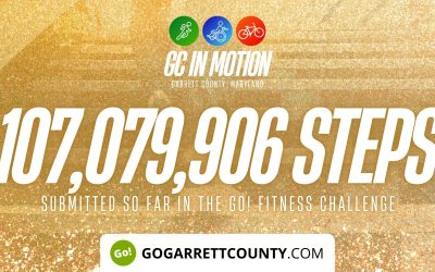 107 MILLION+ STEPS/ACTIVITY RECORDS! – Step/Activity Challenge Weekly Leaderboard – Week 94