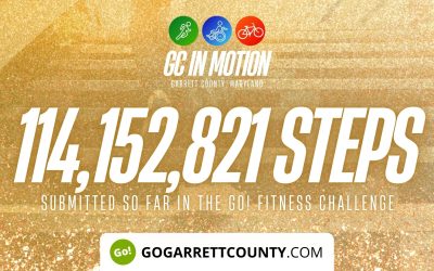 114 MILLION+ STEPS/ACTIVITY RECORDS! – Step/Activity Challenge Weekly Leaderboard – Week 101