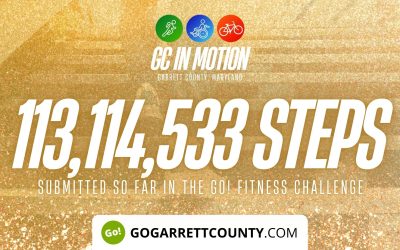 113 MILLION+ STEPS/ACTIVITY RECORDS! – Step/Activity Challenge Weekly Leaderboard – Week 100