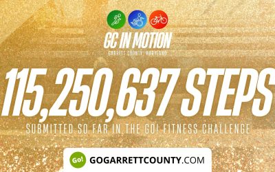 115 MILLION+ STEPS/ACTIVITY RECORDS! – Step/Activity Challenge Weekly Leaderboard – Week 102