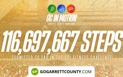 116 MILLION+ STEPS/ACTIVITY RECORDS! – Step/Activity Challenge Weekly Leaderboard – Week 103