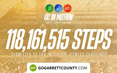 118 MILLION+ STEPS/ACTIVITY RECORDS! – Step/Activity Challenge Weekly Leaderboard – Week 104