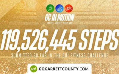 119 MILLION+ STEPS/ACTIVITY RECORDS! – Step/Activity Challenge Weekly Leaderboard – Week 105