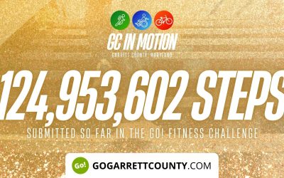 124 MILLION+ STEPS/ACTIVITY RECORDS! – Step/Activity Challenge Weekly Leaderboard – Week 110