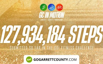 127 MILLION+ STEPS/ACTIVITY RECORDS! – Step/Activity Challenge Weekly Leaderboard – Week 114