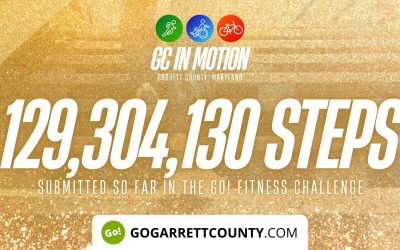 129 MILLION+ STEPS/ACTIVITY RECORDS! – Step/Activity Challenge Weekly Leaderboard – Week 115
