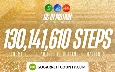 130 MILLION+ STEPS/ACTIVITY RECORDS! – Step/Activity Challenge Weekly Leaderboard – Week 116
