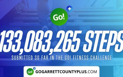133 MILLION+ STEPS/ACTIVITY RECORDS! – Step/Activity Challenge Weekly Leaderboard – Week 118