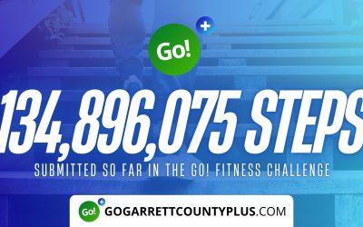 134 MILLION+ STEPS/ACTIVITY RECORDS! – Step/Activity Challenge Weekly Leaderboard – Week 119