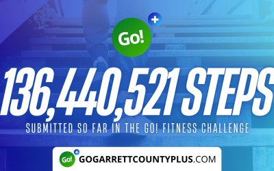 136 MILLION+ STEPS/ACTIVITY RECORDS! – Step/Activity Challenge Weekly Leaderboard – Week 120