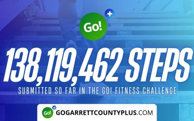 138 MILLION+ STEPS/ACTIVITY RECORDS! – Step/Activity Challenge Weekly Leaderboard – Week 121