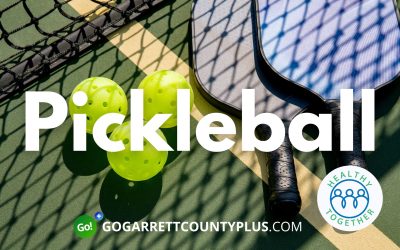 Paddle Up! It’s National Pickleball Month
